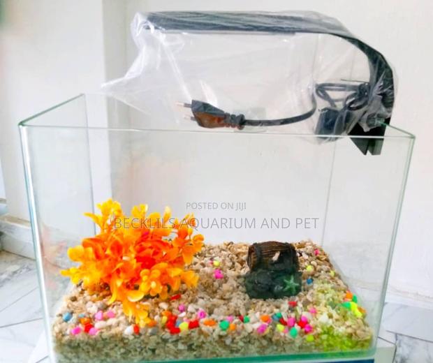 Package Table Top Aquarium
