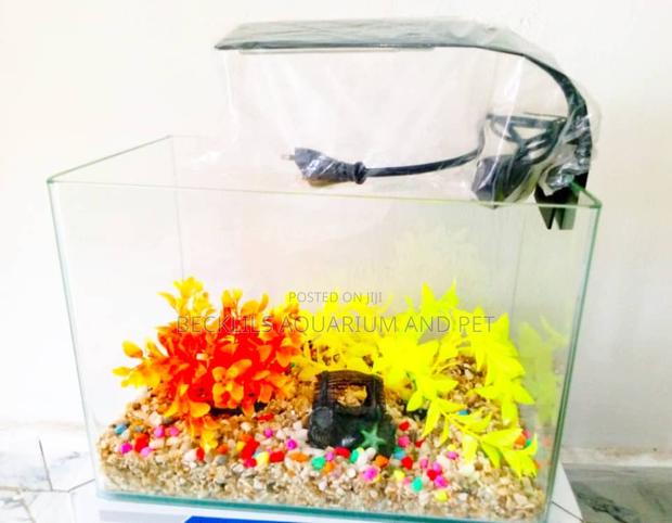 Package Table Top Aquarium