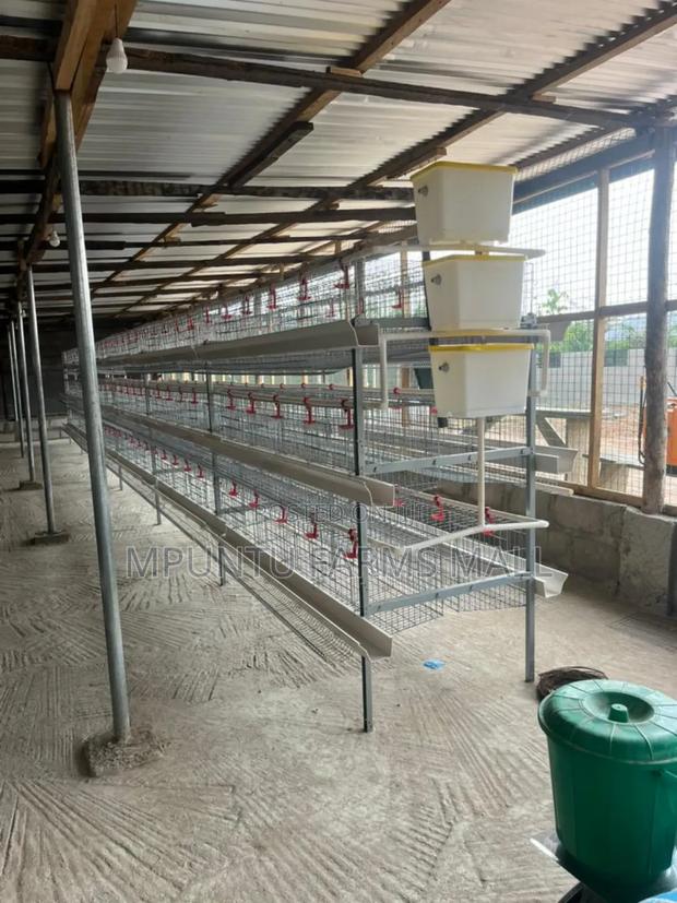 Poultry Battery Cage photo 2