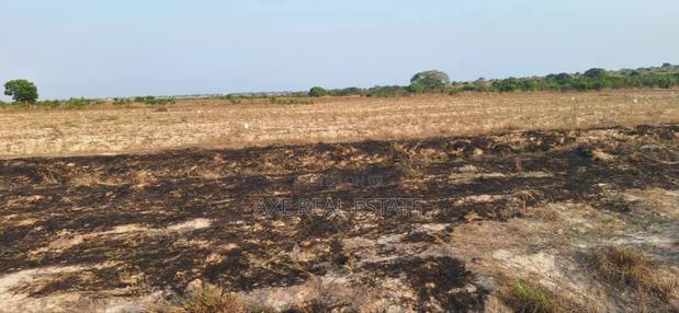 Demarcated Estate Half Plot at Prampram Beach Road · Photo 4