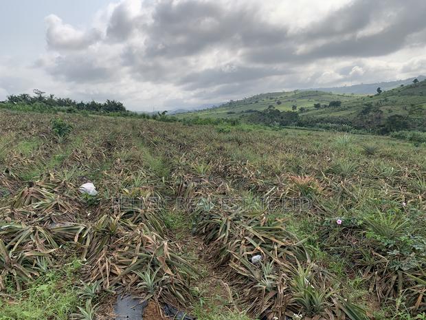 7 Acres of Land at Aburi Pokrom for Sale · Photo 2