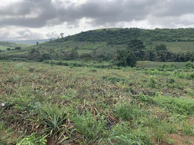 7 Acres of Land at Aburi Pokrom for Sale · Photo 4