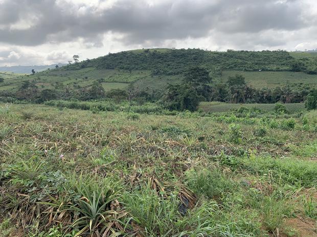7 Acres of Land at Aburi Pokrom for Sale · Photo 1