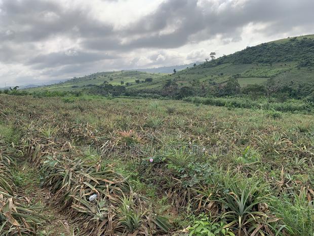 7 Acres of Land at Aburi Pokrom for Sale · Photo 3