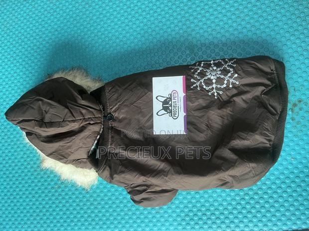 Toy Dog Clothing- New Stock -2025-0 183729 · Photo 3
