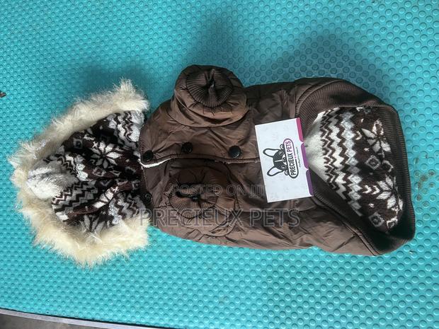 Toy Dog Clothing- New Stock -2025-0 183729 · Photo 4