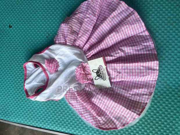 Toy Dog Clothing- New Stock -2025-0 582826 · Photo 2