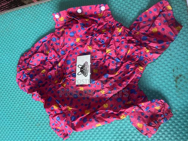 Toy Dog Clothing- New Stock -2025-0 A19376392 · Photo 2