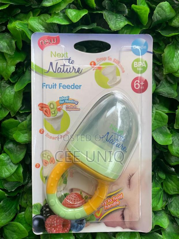 Baby Fruit Feeder · Photo 2