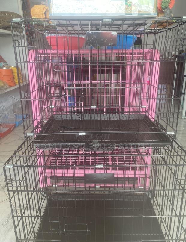 Portable Dog Cages for Your Dogs · Photo 4