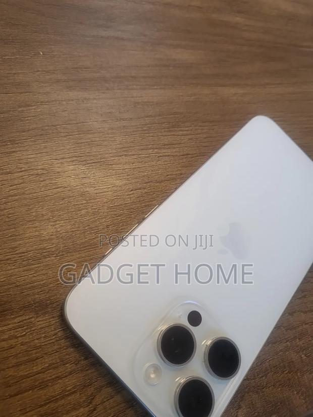 Apple iPhone 15 Pro Max 256 GB Silver photo 4