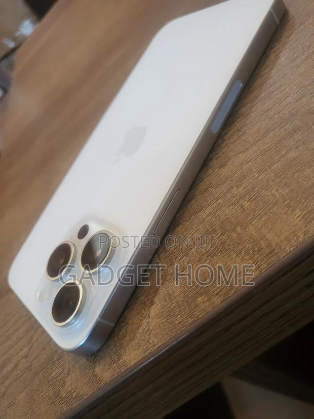 Apple iPhone 15 Pro Max 256 GB Silver photo 5
