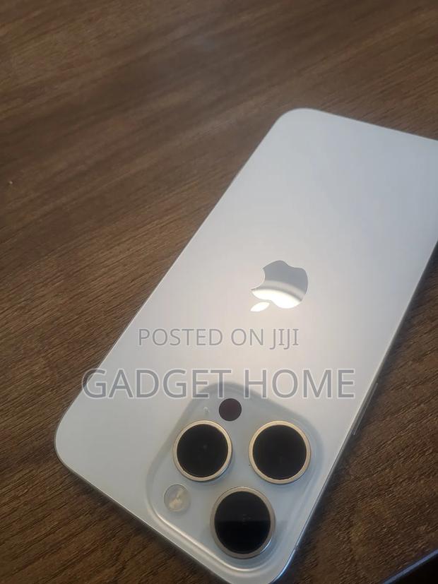 Apple iPhone 15 Pro Max 256 GB Silver