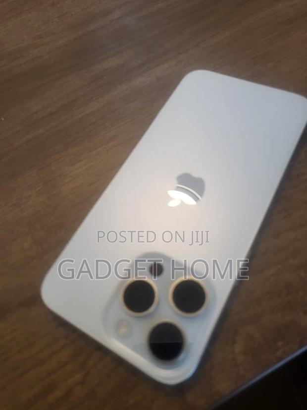 Apple iPhone 15 Pro Max 256 GB Silver photo 6