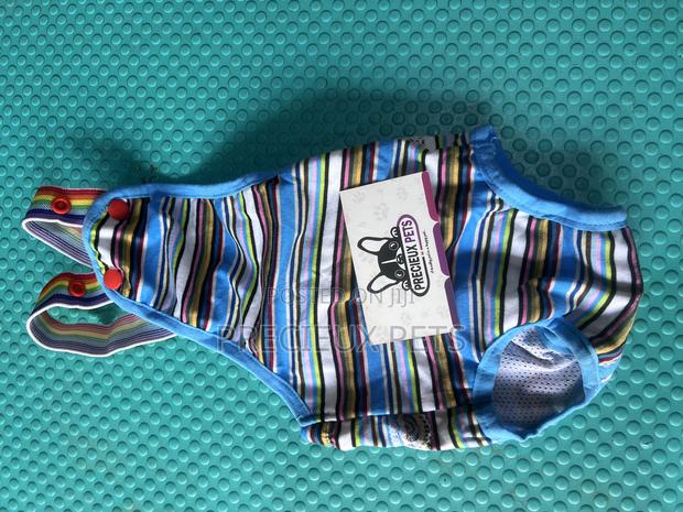 Toy Dog Clothing- New Stock -2025-0 009888988 · Photo 4