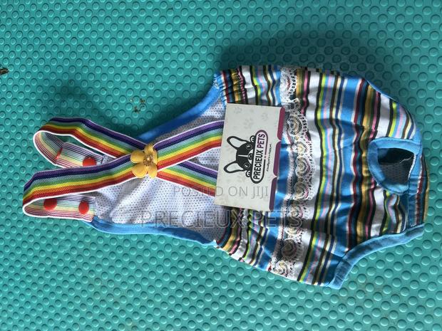 Toy Dog Clothing- New Stock -2025-0 009888988 · Photo 3