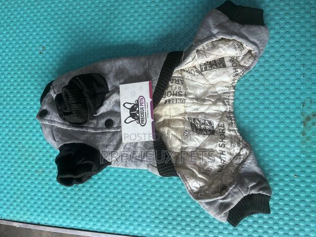Toy Dog Clothing- New Stock -2025-0 000098776 · Photo 4