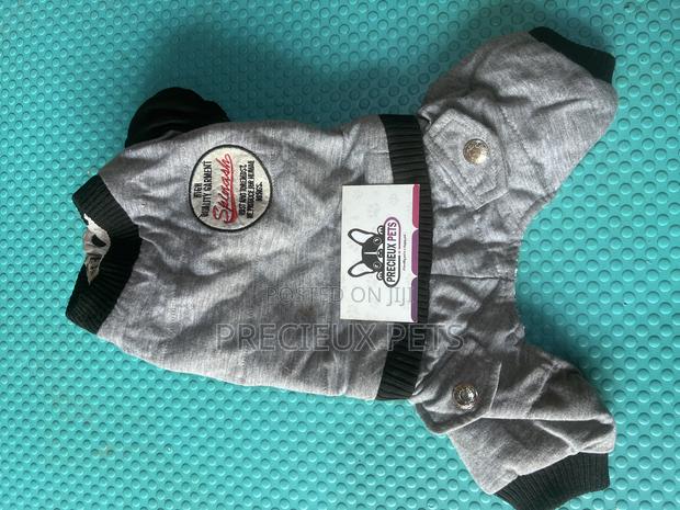 Toy Dog Clothing- New Stock -2025-0 000098776 · Photo 3