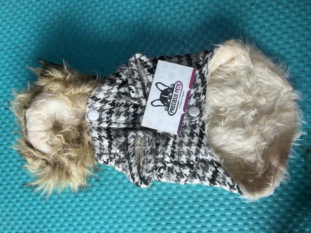 Toy Dog Clothing- New Stock -2025-0 00273729 · Photo 4