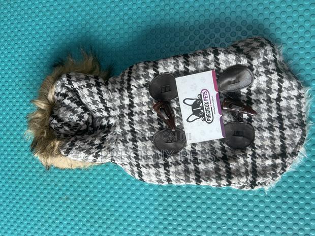 Toy Dog Clothing- New Stock -2025-0 00273729 · Photo 3