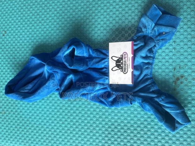 Toy Dog Clothing- New Stock -2025-0 09599 · Photo 4