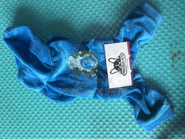 Toy Dog Clothing- New Stock -2025-0 09599 · Photo 3