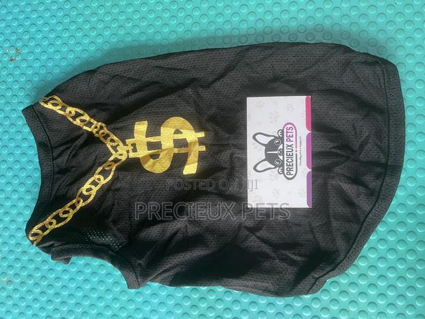 Toy Dog Clothing- New Stock -2025-0 01849237 · Photo 4