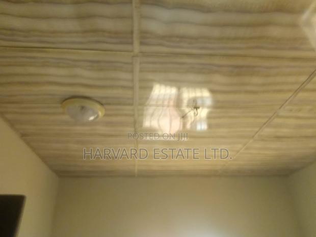 Mini Flat in Tech Apemso Knust, Kumasi Metropolitan for rent photo 8