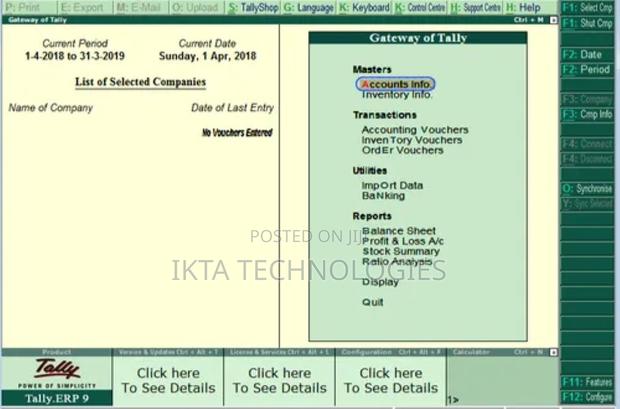Tally Erp 9 Accounting Software | Your Business Companion · Photo 2