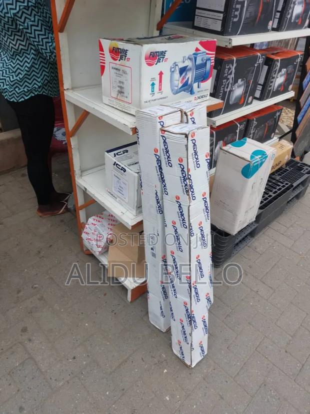 Pedrollo Borehole Pump From Italy · Photo 3