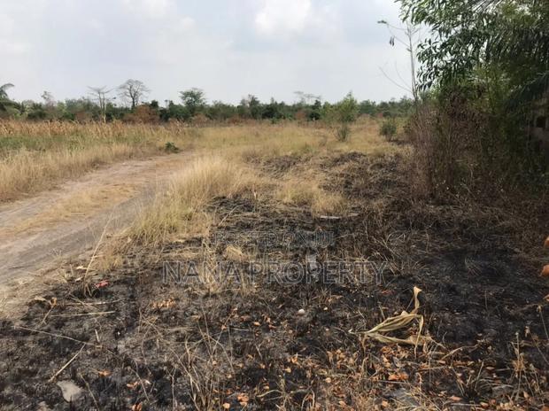 40 Acres of Land for Sale Located Bawaleshie · Photo 2