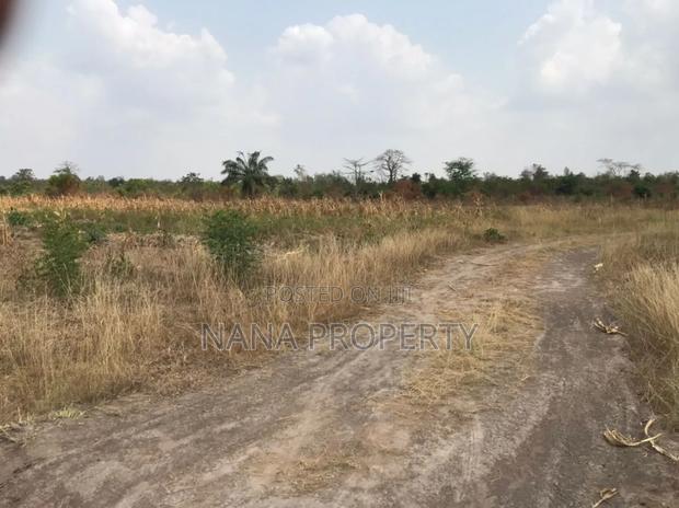 Fifty Acres of Land for Sale Located at Oyibi Bawaleshie · Photo 3