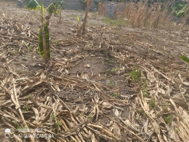Fifty Acres of Land for Sale Located at Oyibi Bawaleshie · Photo 4