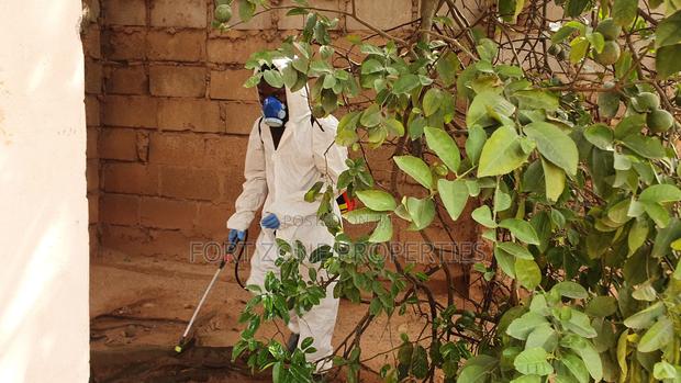 A1 Fumigation Services With Cleantex · Photo 3