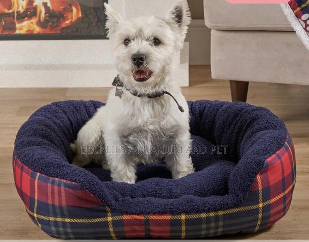 Rectangular Beds for Dogs and Cat · Photo 3