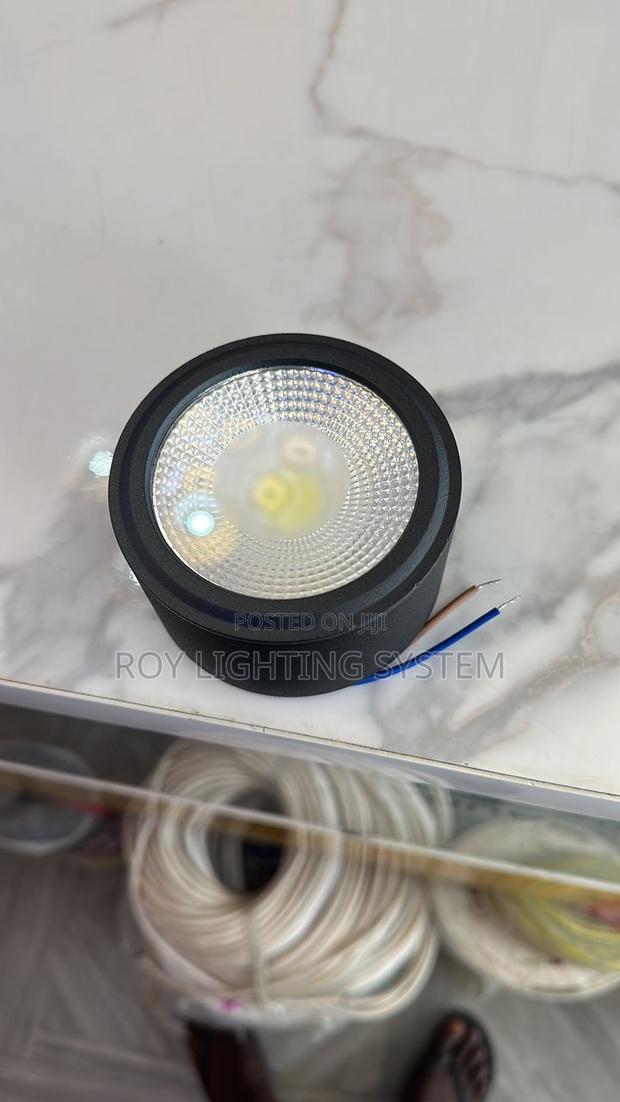 Surface Mounted Light · Photo 2