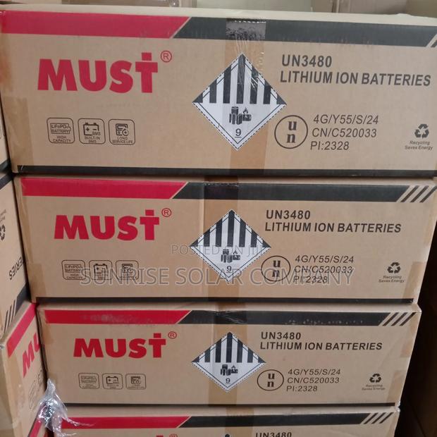 Lithium Battery Lifep04 Must 100ah 48v photo 2