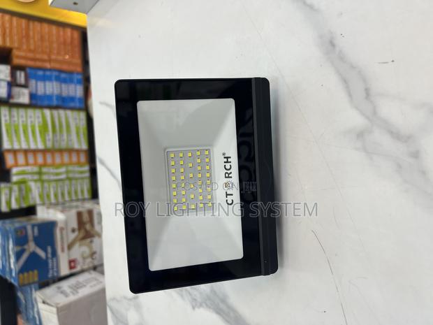 30w Flood Light