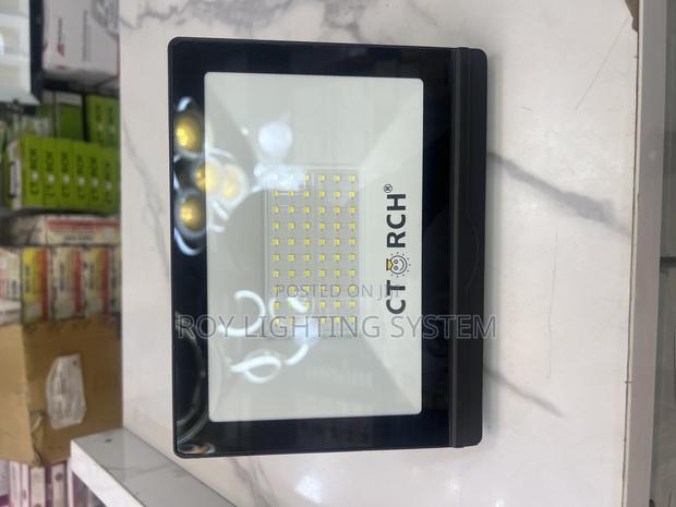 50w Flood Light