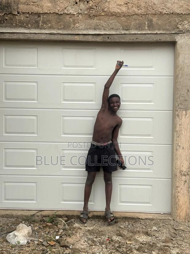 Automated Garage Door With Remote photo 2