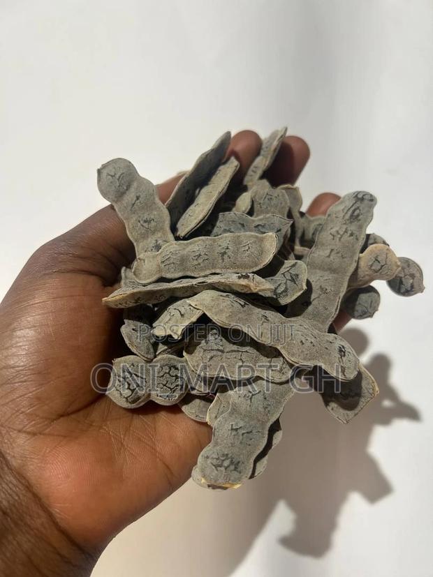 Bagaruwa (Acacia Seeds) photo 3