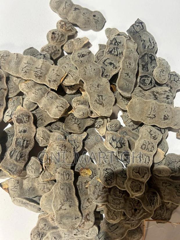 Bagaruwa (Acacia Seeds) photo 4