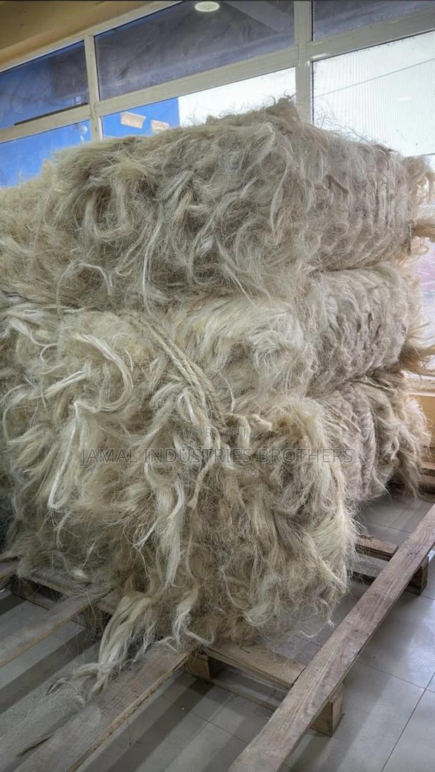 Fibre Long Pop Available photo 2
