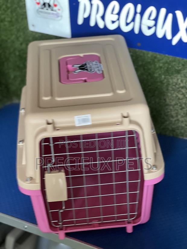 Plastic Crate / Cage / Courier 000100 · Photo 4