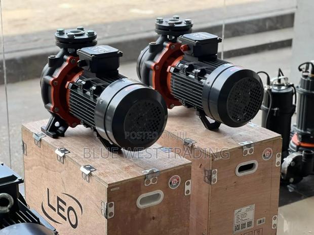Leo Water Pump 10hp _ 10 Horsepower Water Pump · Photo 2