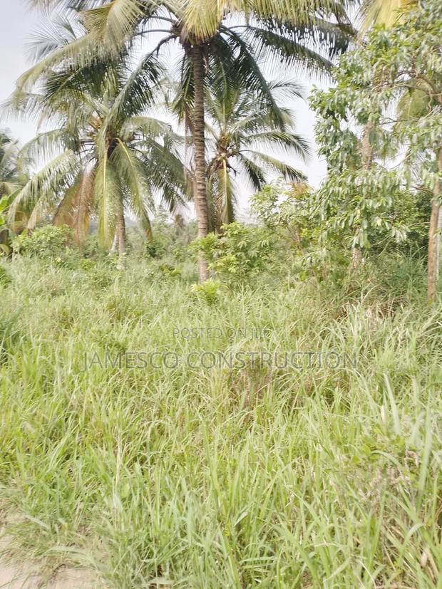 Registered 10,000 Of Farmland For Sale · Photo 4