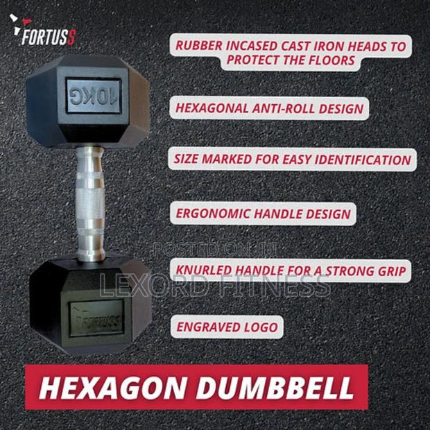 Hexagon Dumbbell 20kg (10kg Pair) · Photo 4