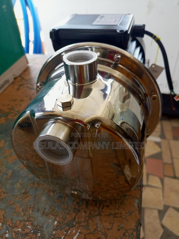 European Water Punpy photo 2