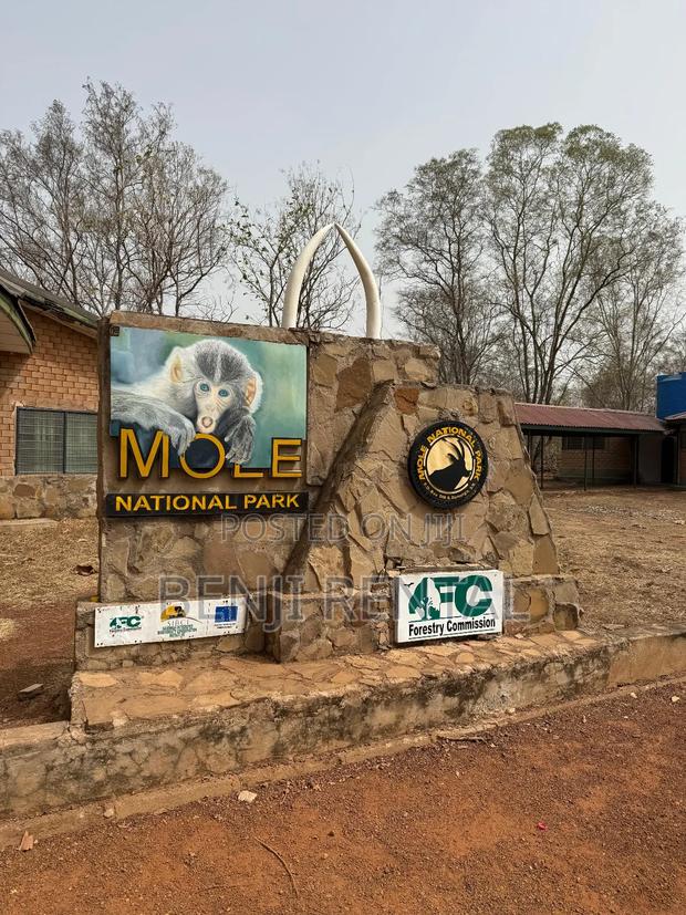 Tour To Mole National Park