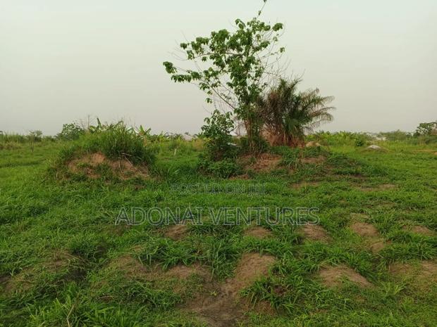 Full Plot of Land for Sale in Abuakwa Mim · Photo 2